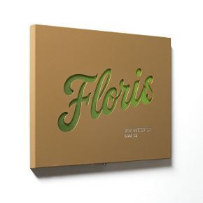 Enseigne Nice illuminée