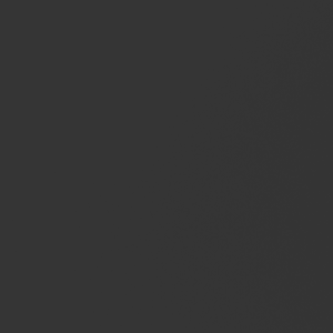 Gris foncé Gris foncé