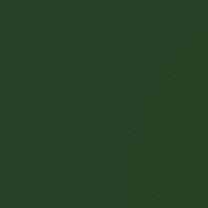 Vert forêt Vert forêt