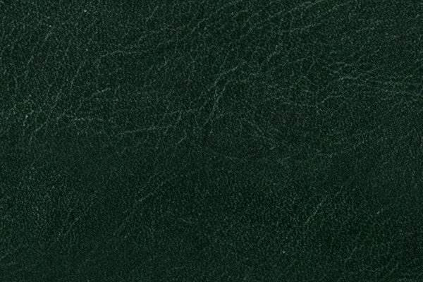 Vert Foncé Vert Foncé