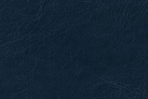 Bleu Marine Bleu Marine