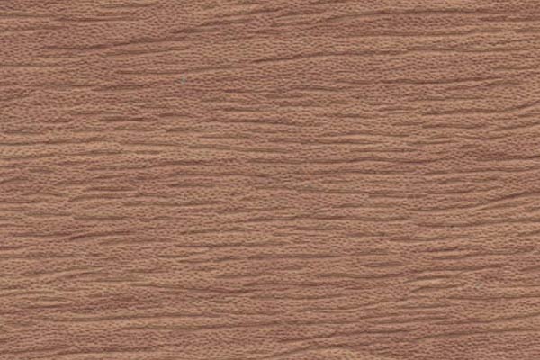 Genève Bouleau Genève Bouleau