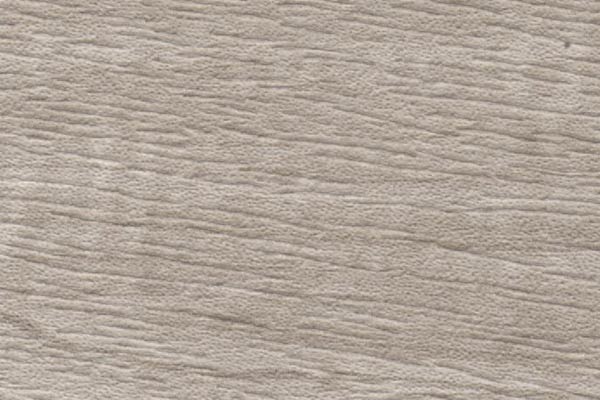 Orchard Mushroom Orchard Mushroom