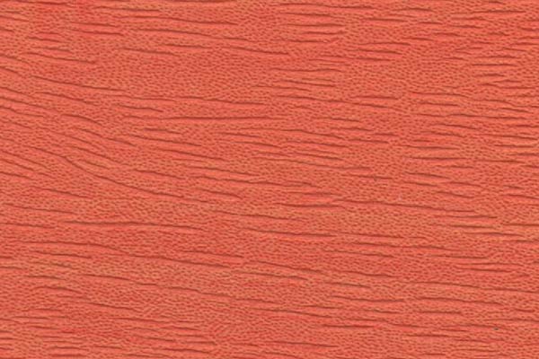 Genève Orange Genève Orange