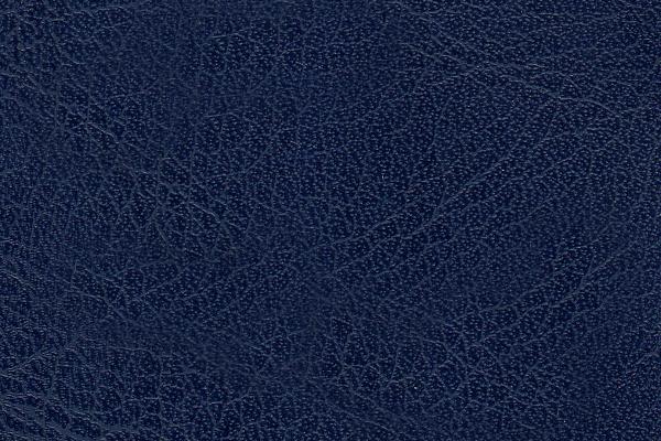 Bleu Marine Bleu Marine