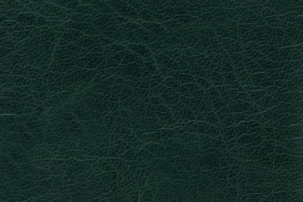 Kensington Dark Green Kensington Dark Green