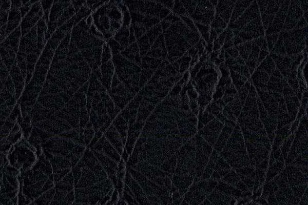 Noir Autruche Noir Autruche